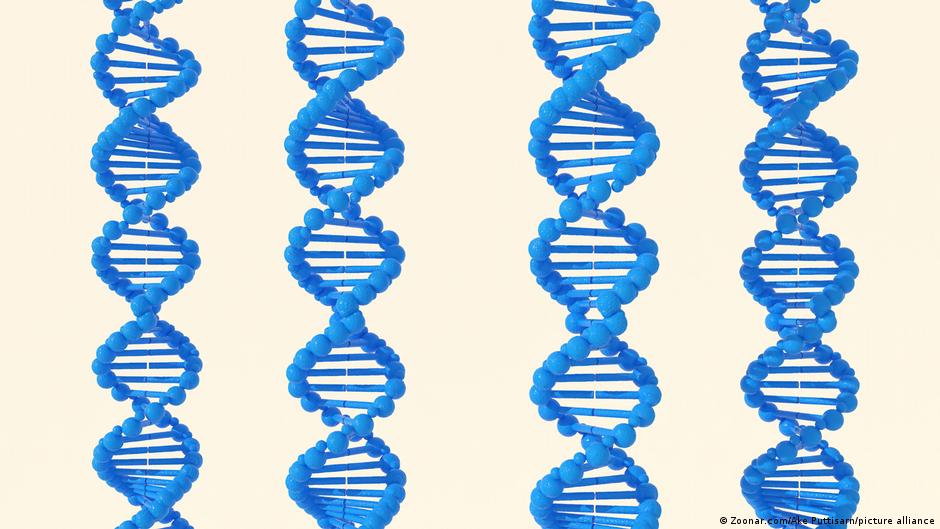 The human genome: The most important map ever produced – DW – 04/13/2023 - Vimarsana News