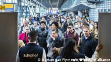 Amsterdam airport requests airlines cut flights amid chaotic crowds