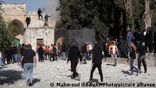 Palestinians work to extinguish a tree that caught fire as Israeli police clashed with protesters at the Al Aqsa Mosque compound, in Jerusalem's Old City, Friday, April 22, 2022. (AP Photo/Mahmoud Illean)