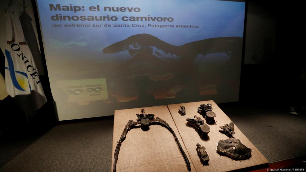 Cientficos hallan en Argentina los restos del dinosaurio megaraptrido ms grande  conocido hasta ahora | Ciencia y Ecologa | DW | 02.05.2022
