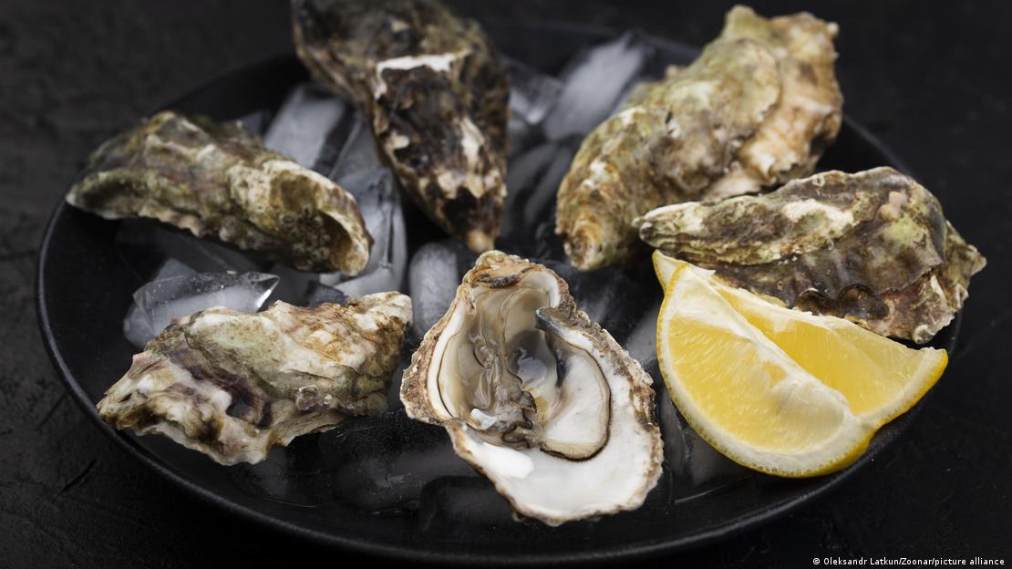 Ostras en un plato, con limón.