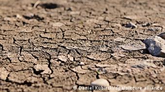 La sécheresse frappe durement certaines parties du continent