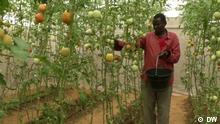 This week on Eco Africa we look at how greenhouses are helping farmers ensure sustainable food production in Mogadishu, how Nairobi is investing in electric public transport, and how to get the community involved in recycling.