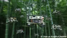 This Handout photo provided by Yuman Gao and Rui Jin on May 4, 2022 shows a new flight path planning system enables drone swarms to fly through crowded forests without collisions. - A dense bamboo forest, China. Suddenly, ten small blue drones the size of a palm of a hand rise in a buzz. (Photo by Handout / Yuman Gao and Rui Jin / AFP) / RESTRICTED TO EDITORIAL USE - MANDATORY CREDIT AFP PHOTO / Yuman Gao and Rui Jin - NO MARKETING - NO ADVERTISING CAMPAIGNS - DISTRIBUTED AS A SERVICE TO CLIENTS / TO GO WITH AFP STORY '
Swarms of autonomous drones successfully tested in the wild (study)'