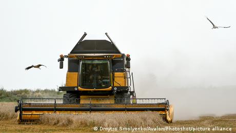 A combine harvester in a field in Zaporizhzhia Region, southeastern Ukraine