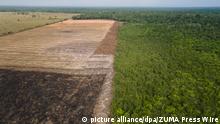 Das Luftbild zeigt eine verbrannte und abgeholzte Fläche in einem Amazonas-Gebiet. Der Schutz und Erhalt bestehender Wälder soll nach dem Willen des neuen Landwirtschaftsministers Özdemir künftig bei «allen internationalen Handelsabkommen» garantiert werden. (Zu dpa «Özdemir: Waldschutz in jedem künftigen Handelsabkommen garantieren») +++ dpa-Bildfunk +++