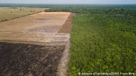 A cleared area in the Amazon rainforest