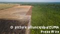 Brazil: Amazon deforestation hits new high