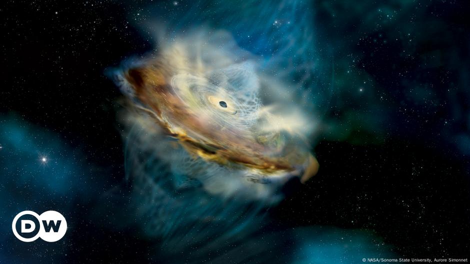Il buco nero supermassiccio potrebbe aver “invertito” il suo intero campo magnetico |  Scienza ed Ecologia |  Dott..