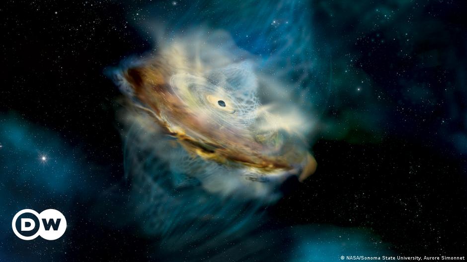 Il buco nero supermassiccio potrebbe aver “invertito” il suo intero campo magnetico |  Scienza ed Ecologia |  Dott..
