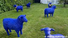 В Германии появились синие овцы с желтыми косынками