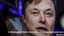 Elon Musk says Twitter deal is 'temporarily on hold'