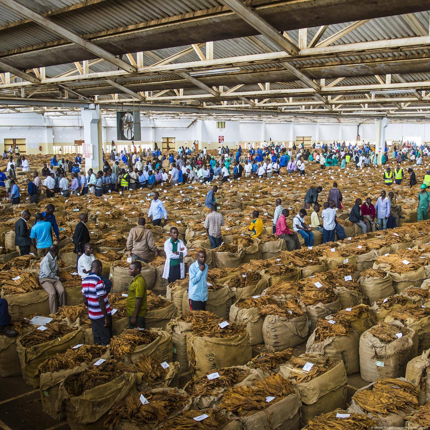 The 77 Percent — Why is Malawi sending young laborers to Israel? thumbnail