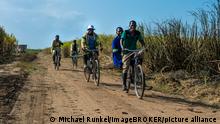 6.6.2015, Nchalo, Malawi, Zuckerrohrschneider auf dem Weg zur Arbeit mit dem Fahrrad durch die Zuckerrohrfelder, Nchalo, Malawi, Afrika