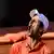 Tennis | ATP Rome Open | Novak Djokovic