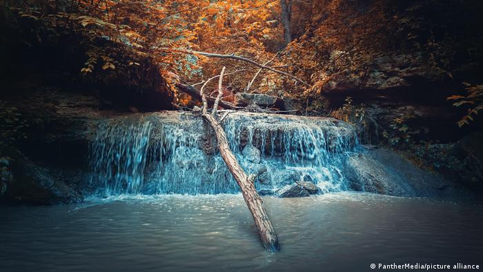 An autumn forest with a waterfall leading to a body of water.
