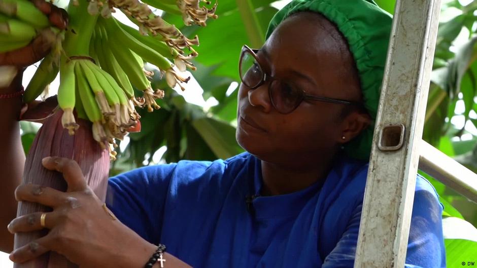 Organic bananas from Ivory Coast DW 05/19/2022