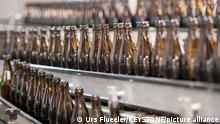 Die Produktion in der Abfuellerei des neuen Migi Braeu Lager der neuen Brauerei Lussi der Lussi Getraenke AG in Stans am Dienstag, 20. Maerz 2018 laeuft auf Hochtouren. Das neue Bier ist ab dieser Woche auf dem Markt. (KEYSTONE/Urs Flueeler)