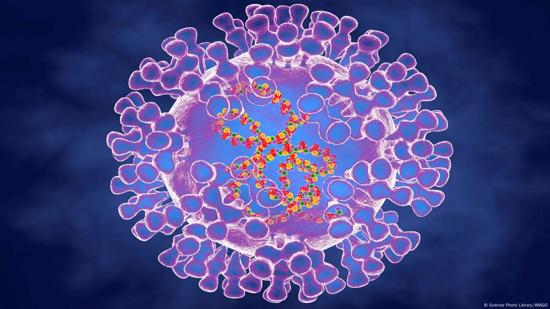 Ilustração mostra vírus da família dos poxvírus