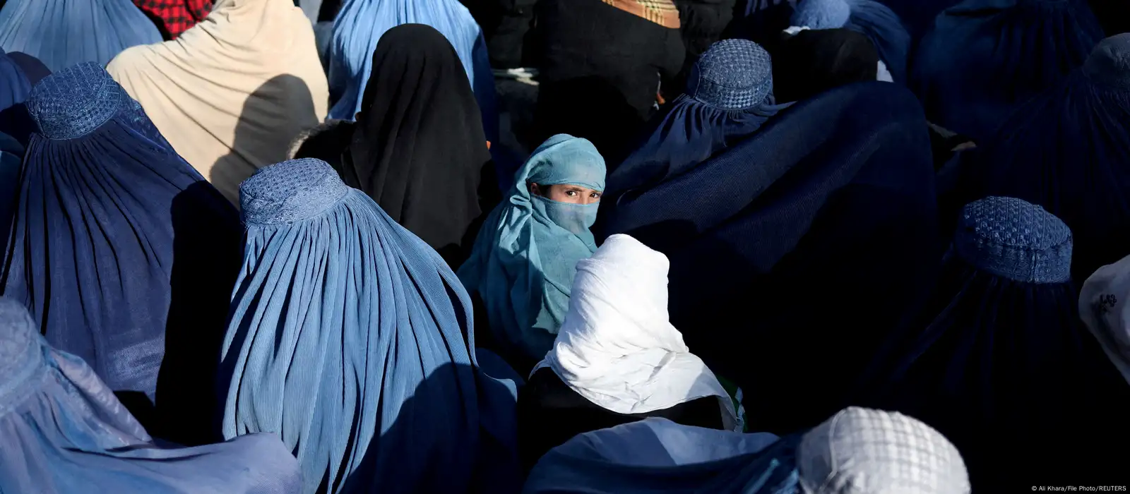 Afghanistan face veil decree: 'It feels like being a woman is a crime