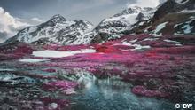 The Swiss Alps in pink and red