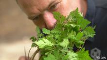 Alta cocina solo con vegetales 