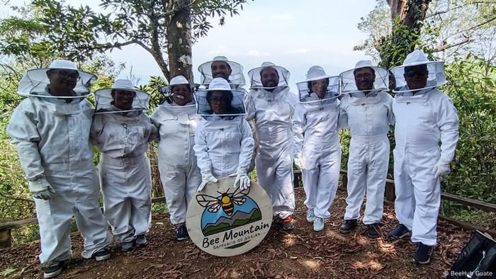 BeeHub Guate I Rescate de abejas I Bienenrettung