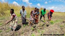 20.5.2022, Manica, Mosambik, In Manica wird der Bevölkerung beigebracht, wie sie die chronische Unterernährung bekämpfen kann