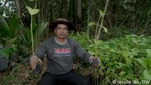 Borneo: bosques para un futuro mejor
