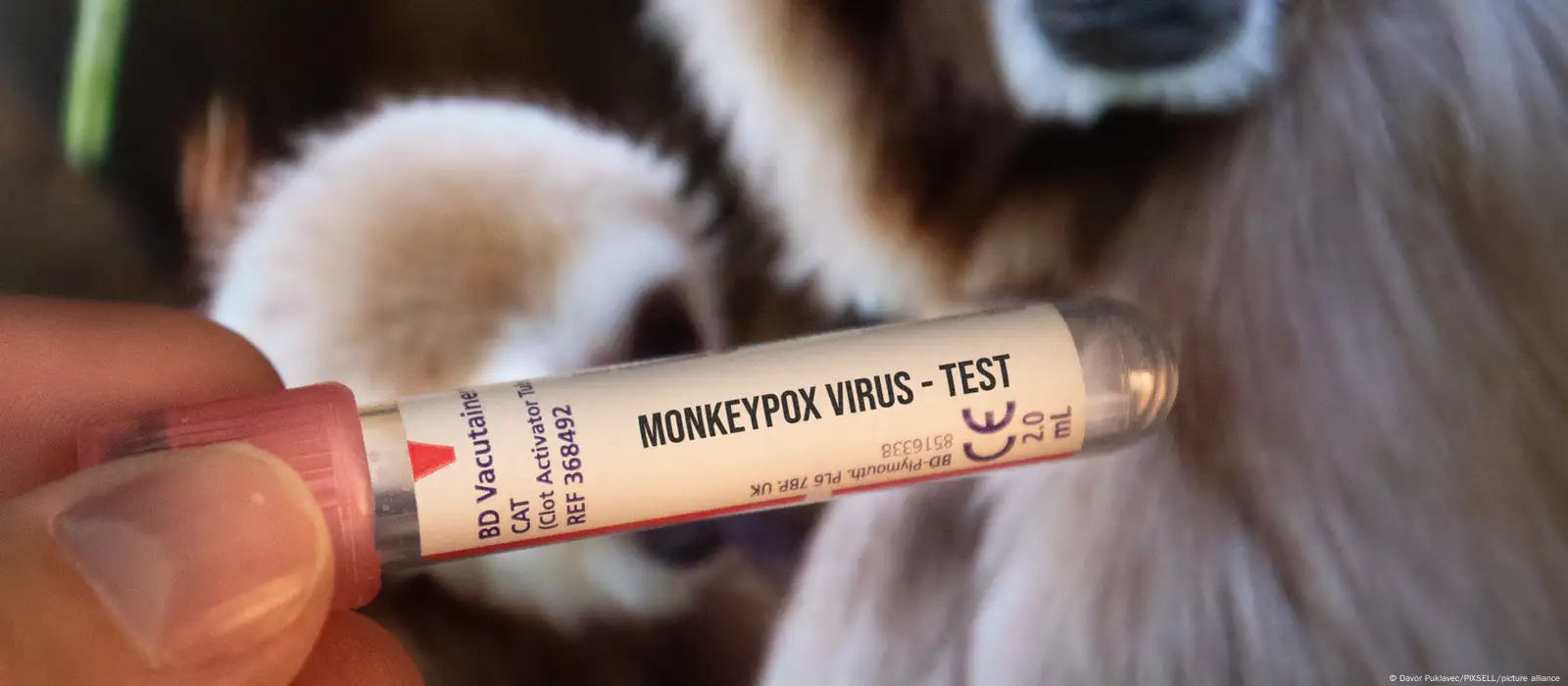 Monkeypox claims -Efficacy Testing