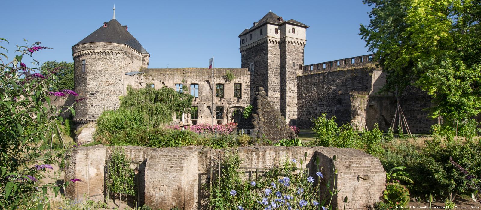 Germany's pioneer 'edible city' on the Rhine – DW – 09/02/2022
