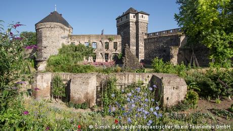 Wildflowers and trees growing outside Andernach's castle ruins