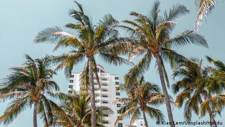 Palm trees in front of a tall hotel building in Las Palmas, Spain