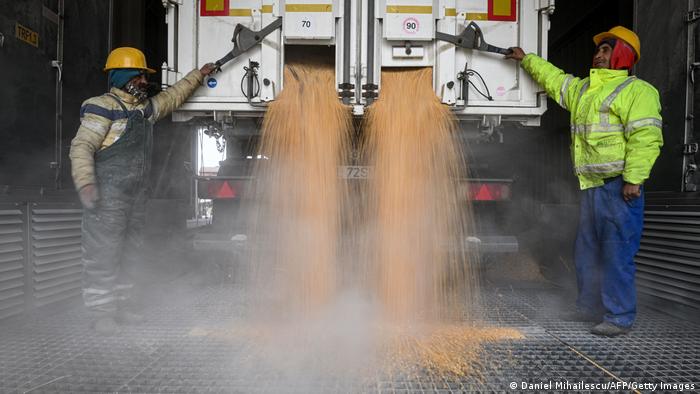 Constanţa | Descărcarea unui camion cu cereale 