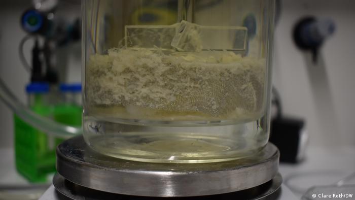 Des chercheurs de l'Université de Leipzig testent des enzymes capables de dégrader le plastique PET