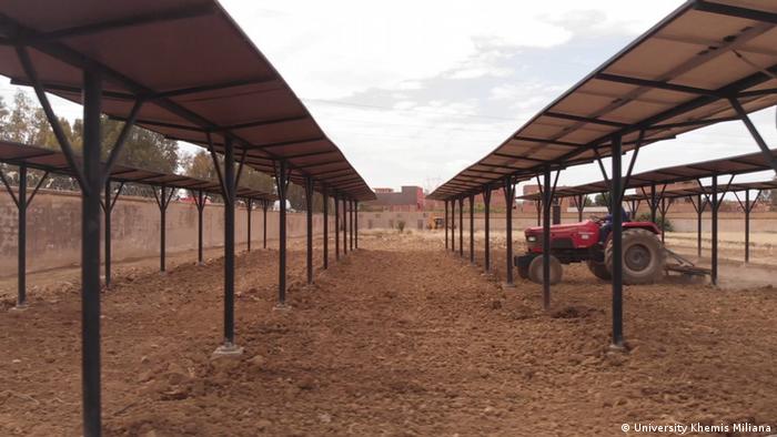 Khemis Miliana agrivoltaic project in Algeria
