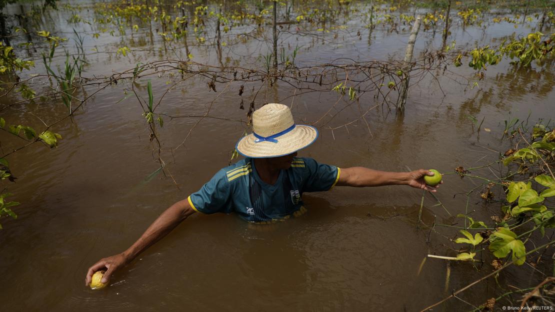Un hombre tratando de salvar su cosecha durante una inundación.