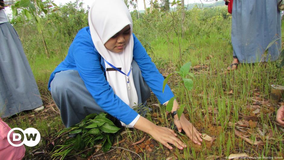 Akankah “Islam Hijau” menyelamatkan Indonesia dari perubahan iklim?  |  Asia |  DW