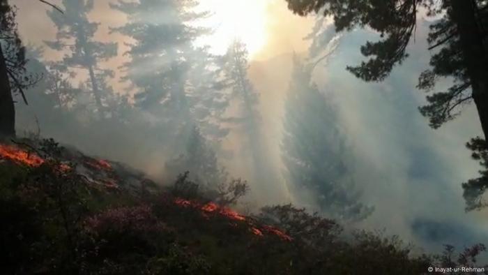 Afghanistan | Waldbrand in der Provinz Nuristan 