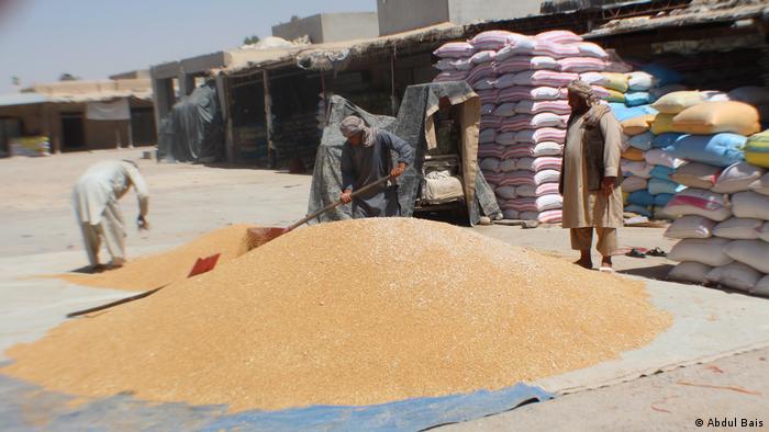Afghanistan | Weizen Verbot in Helmand