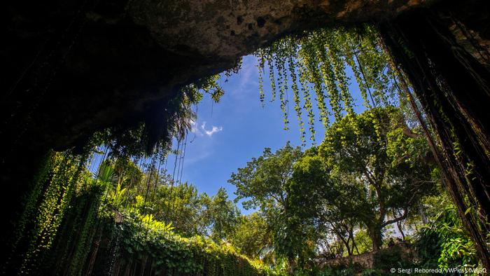 Un cenote en el municipio de Tinum, peninsula de Yucatán.