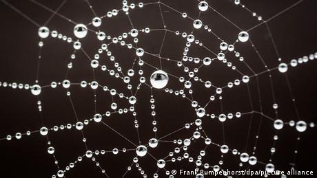 Deutschland | Spinnennetz
