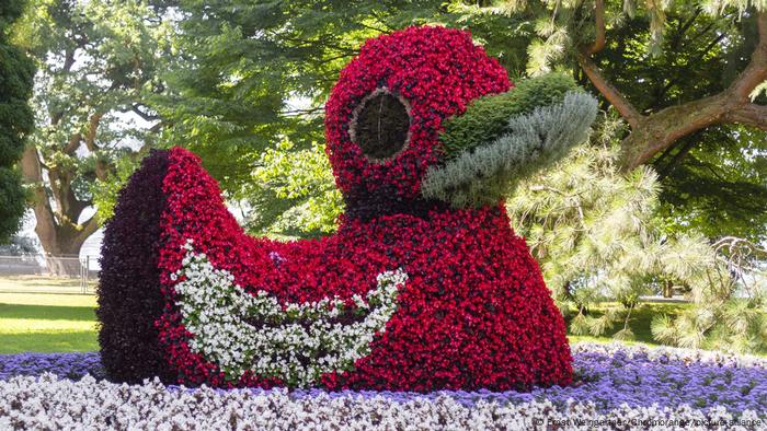 One of a whole group of such flowering ducks on the island of Mainau 