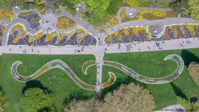 Walking paths in the middle of the flower beds - top view 