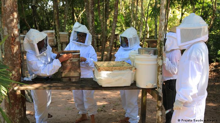 Locals collect honey in the Brazilian Amazon 