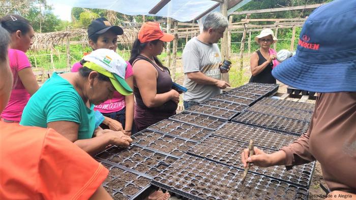 Bewohner im brasilianischen Amazonasgebiet lernen, wie man Setzlinge gewinnt 