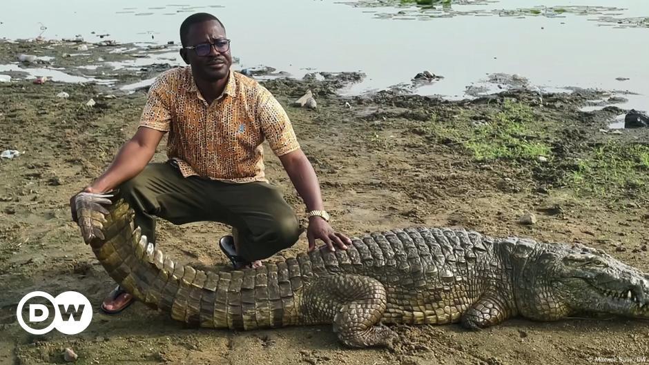 Ghana: Plastics risk choking sacred crocodiles – DW – 06/16/2022