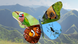 DW Global Ideas Webspecial Biodiversity Teaser, a butterfly against a mountain range, with four different parts of the butterfly replaced by images of a fish, bird, bat and spider DW Global Ideas Webspecial Biodiversity Teaser, a butterfly against a mountain range, with four different parts of the butterfly replaced by images of a fish, bird, bat and spider