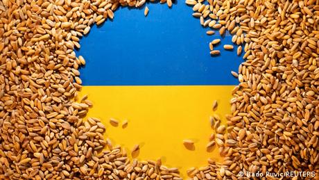 Αναζητώντας λύση για τα σιτηρά της Ουκρανίας