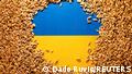 Grain on Ukraine flag